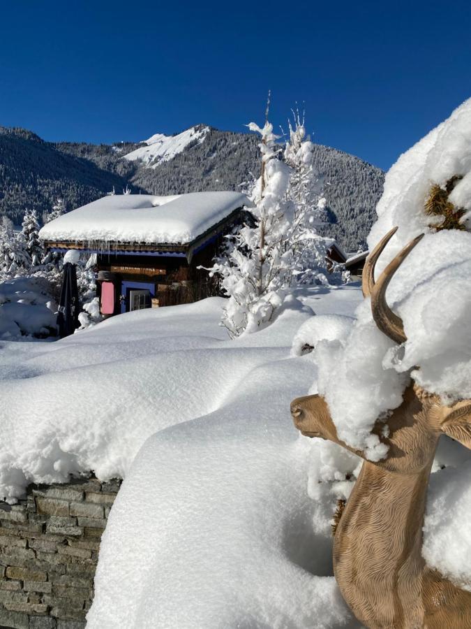 Chalet Micro-lodge, Le Petit Nid D'amour Montriond