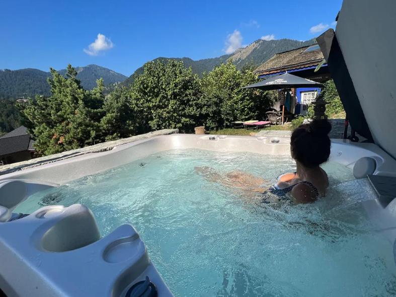 Micro-lodge, Le Petit Nid D'amour Montriond