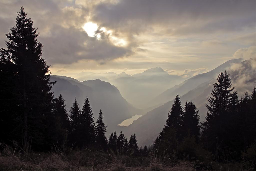 Chalet Micro-lodge, Le Petit Nid D'amour *