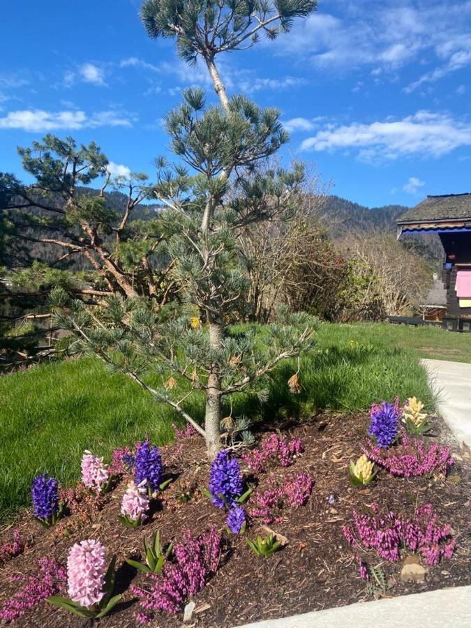 Micro-lodge, Le Petit Nid D'amour * Montriond