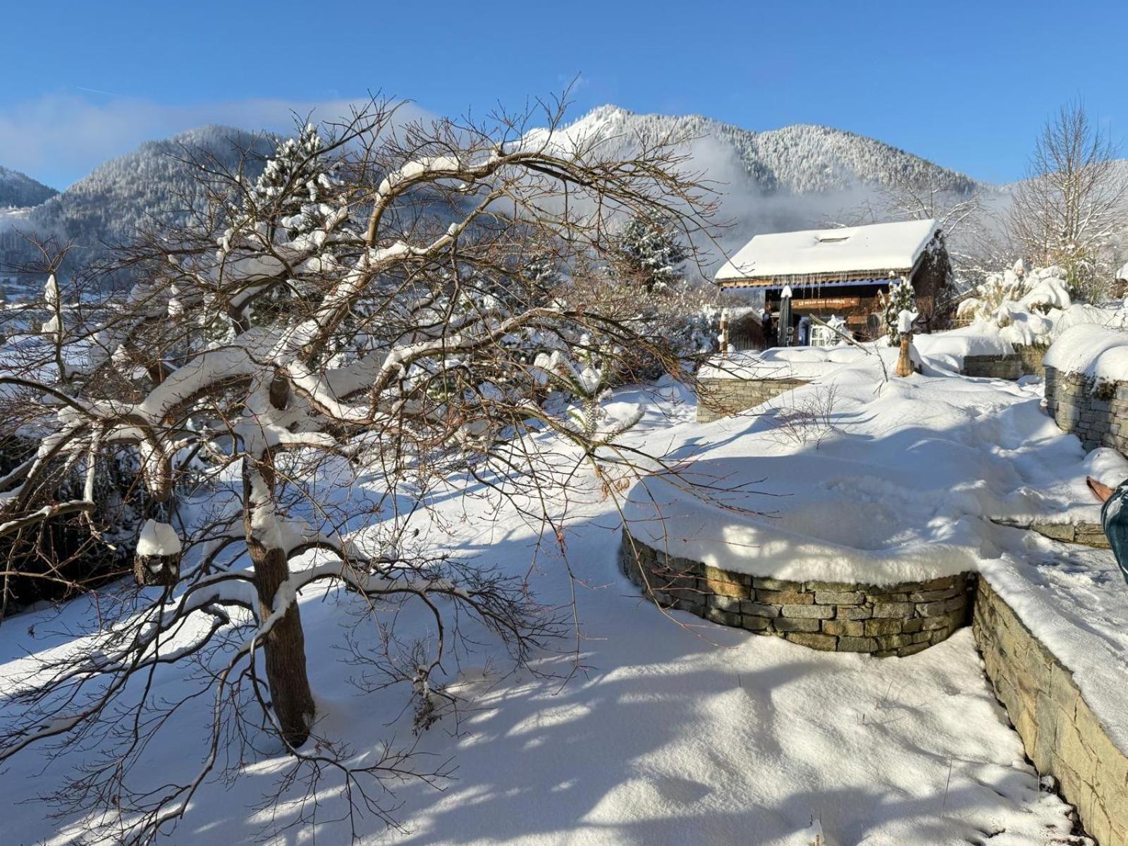 Chalet Micro-lodge, Le Petit Nid D'amour Montriond