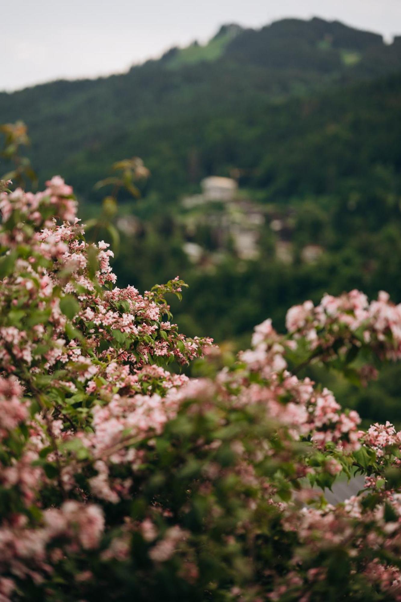 Micro-lodge, Le Petit Nid D'amour Chalet *