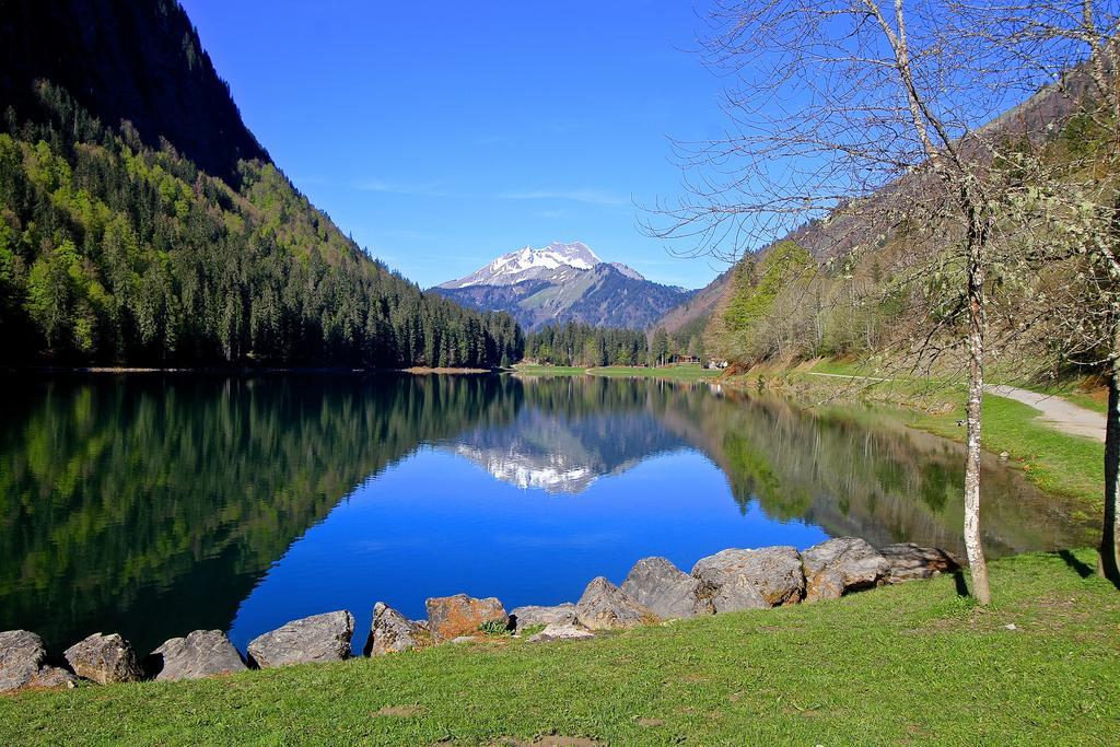 Micro-lodge, Le Petit Nid D'amour Montriond
