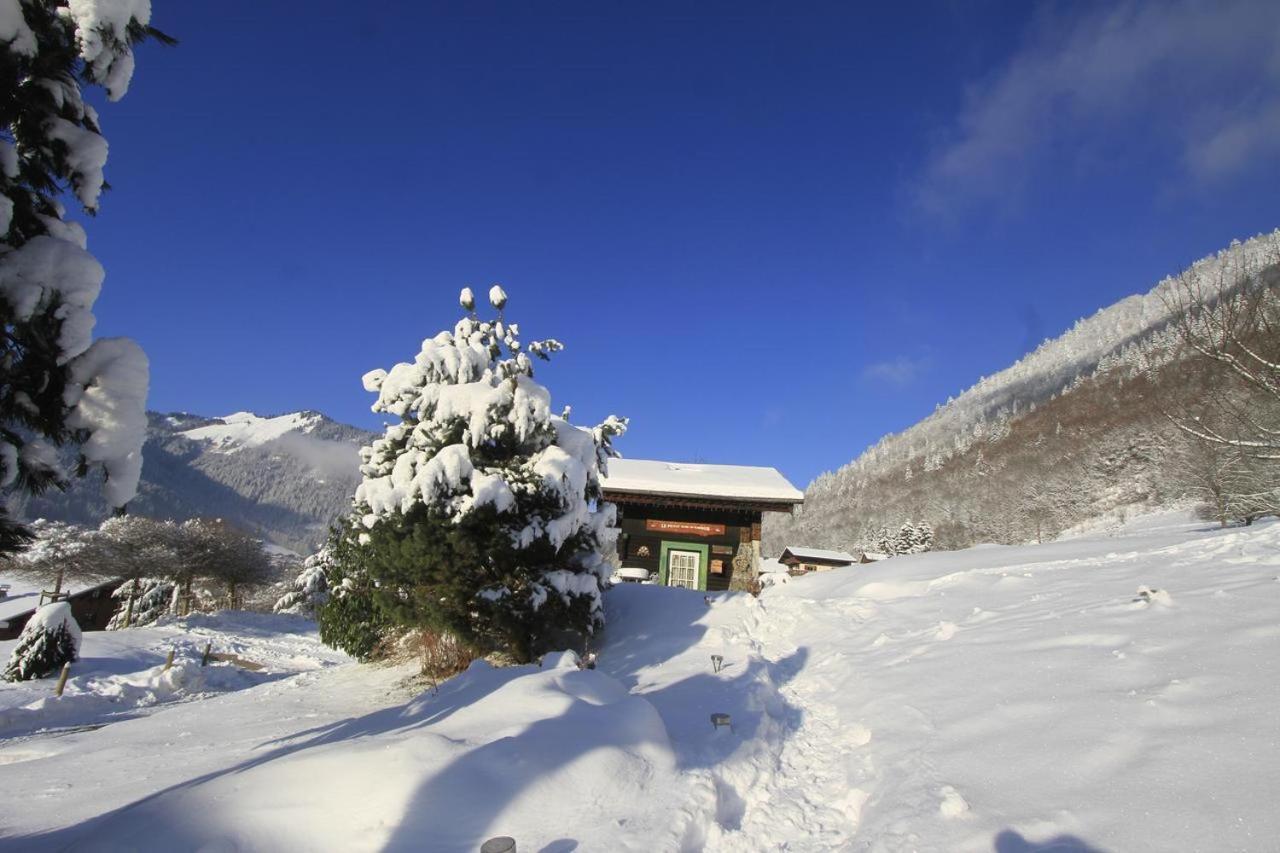Micro-lodge, Le Petit Nid D'amour Montriond